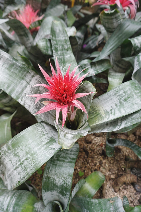 SE-d978c0f5-3499-45e8-ae20-45e4b17bc4a6.jpg?type=w773