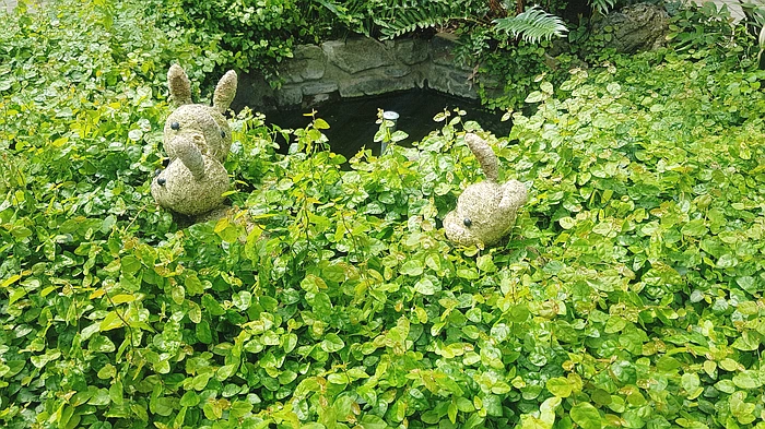 SE-7f66c4d6-3c7b-47ea-8501-d25d2fdd595d.jpg?type=w773