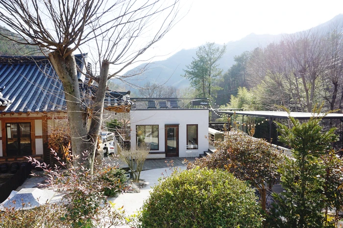 SE-820d7369-003c-4b89-9bdd-92a3cf7bced4.jpg?type=w1