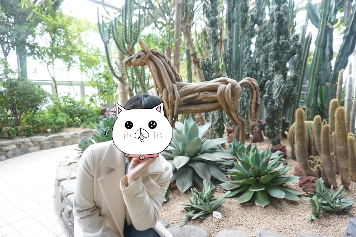 SE-b7d3babe-8c57-4aa5-84dd-6eb1960baa46.jpg?type=w773