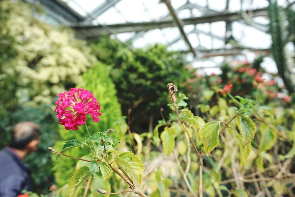 SE-e30018b9-fc22-4a61-a7c2-12d270ea99bd.jpg?type=w773