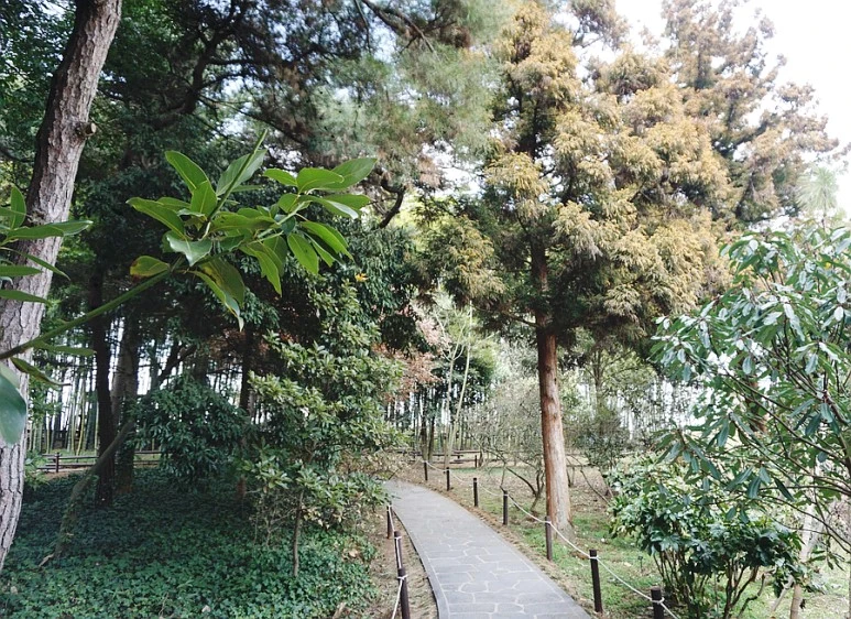 SE-a242284b-1971-4da9-ba9a-2e6298c95507.jpg?type=w773