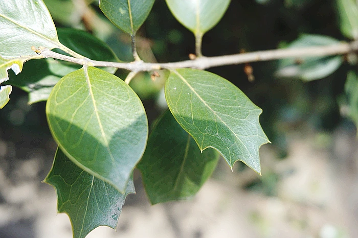 SE-fc2fe535-c68c-4168-9ecb-20b3e906aa1c.jpg?type=w773