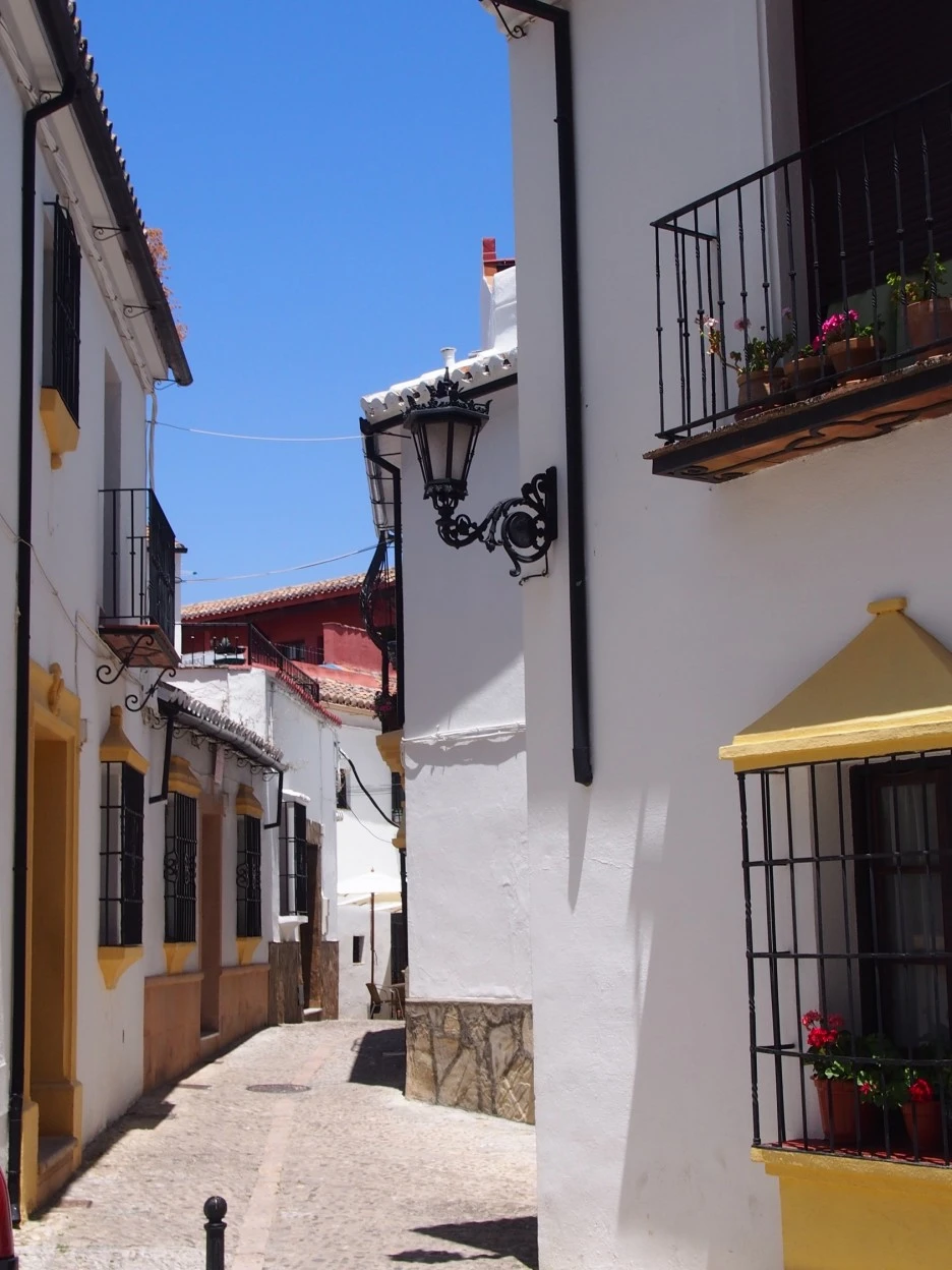 SE-adba0f21-1423-4ba7-b86f-943748d6a13e.jpg?type=w1