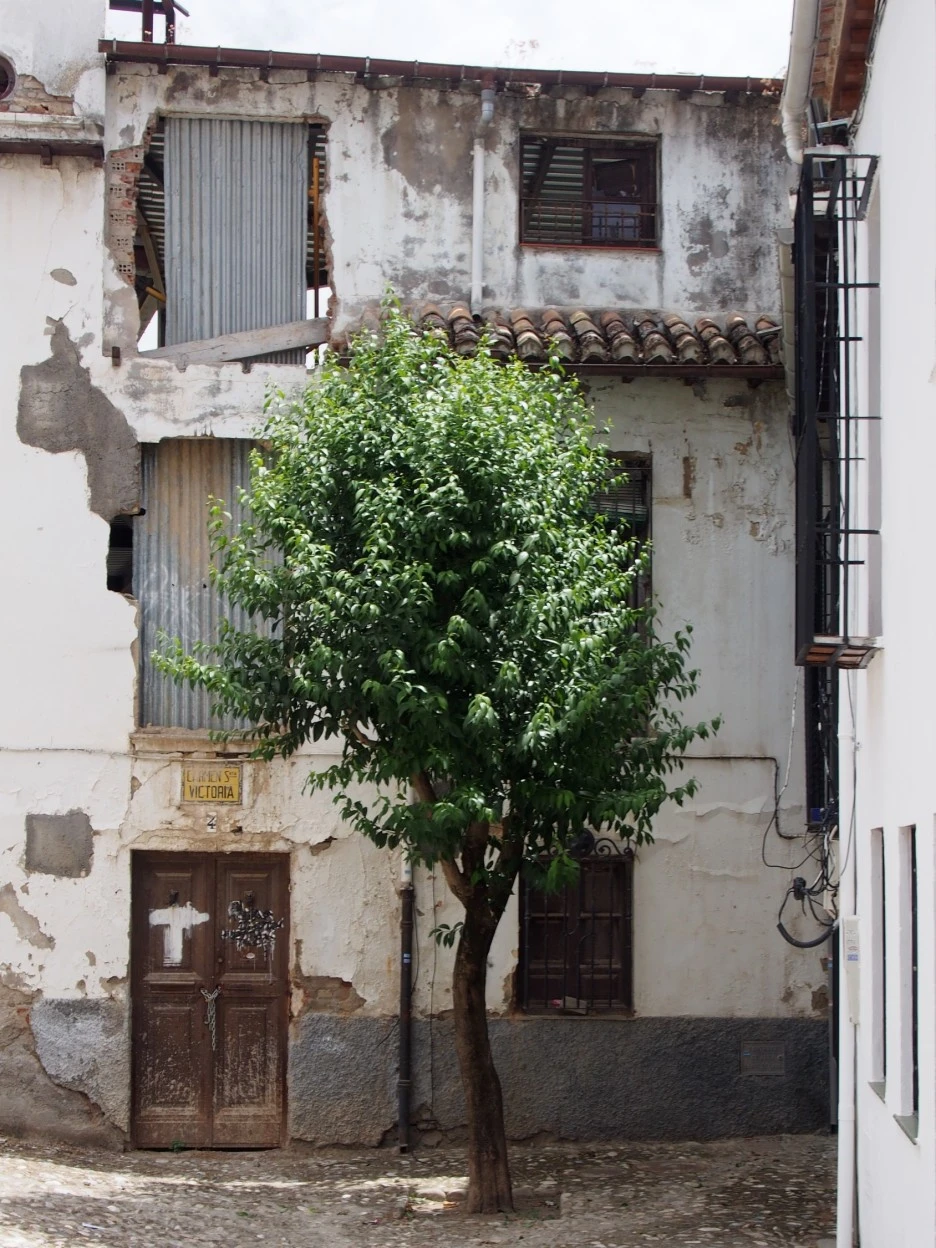 SE-2ed092bd-cec3-403d-a354-16dc3e347276.jpg?type=w1