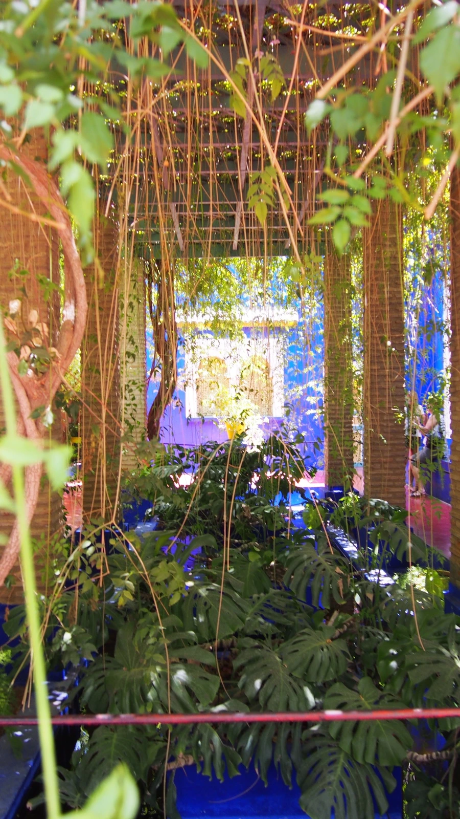 P7222517.jpeg?type=w1