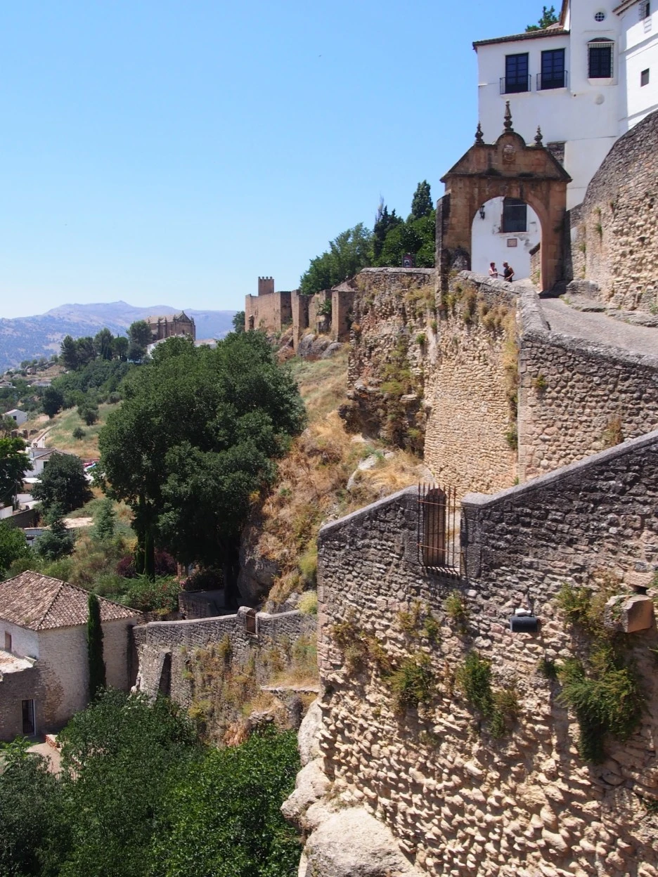 SE-ff3bdf25-a22f-4a2e-b0d2-3bc07fd78dd0.jpg?type=w1