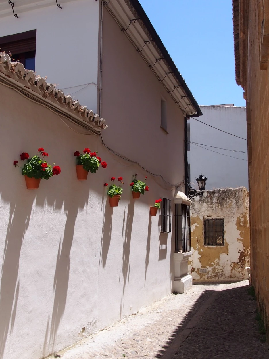 SE-e0343f65-990d-410a-94ec-676234c8e818.jpg?type=w1