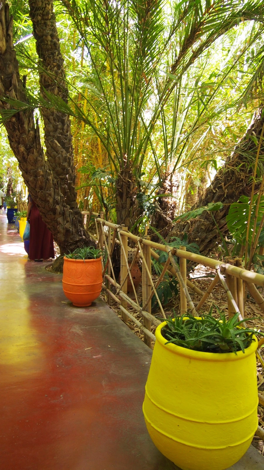 P7222506.jpeg?type=w1