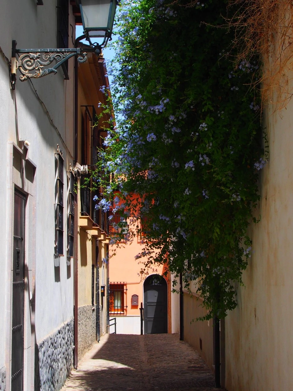 SE-241b0c9a-625d-4076-8129-da10804372f4.jpg?type=w1