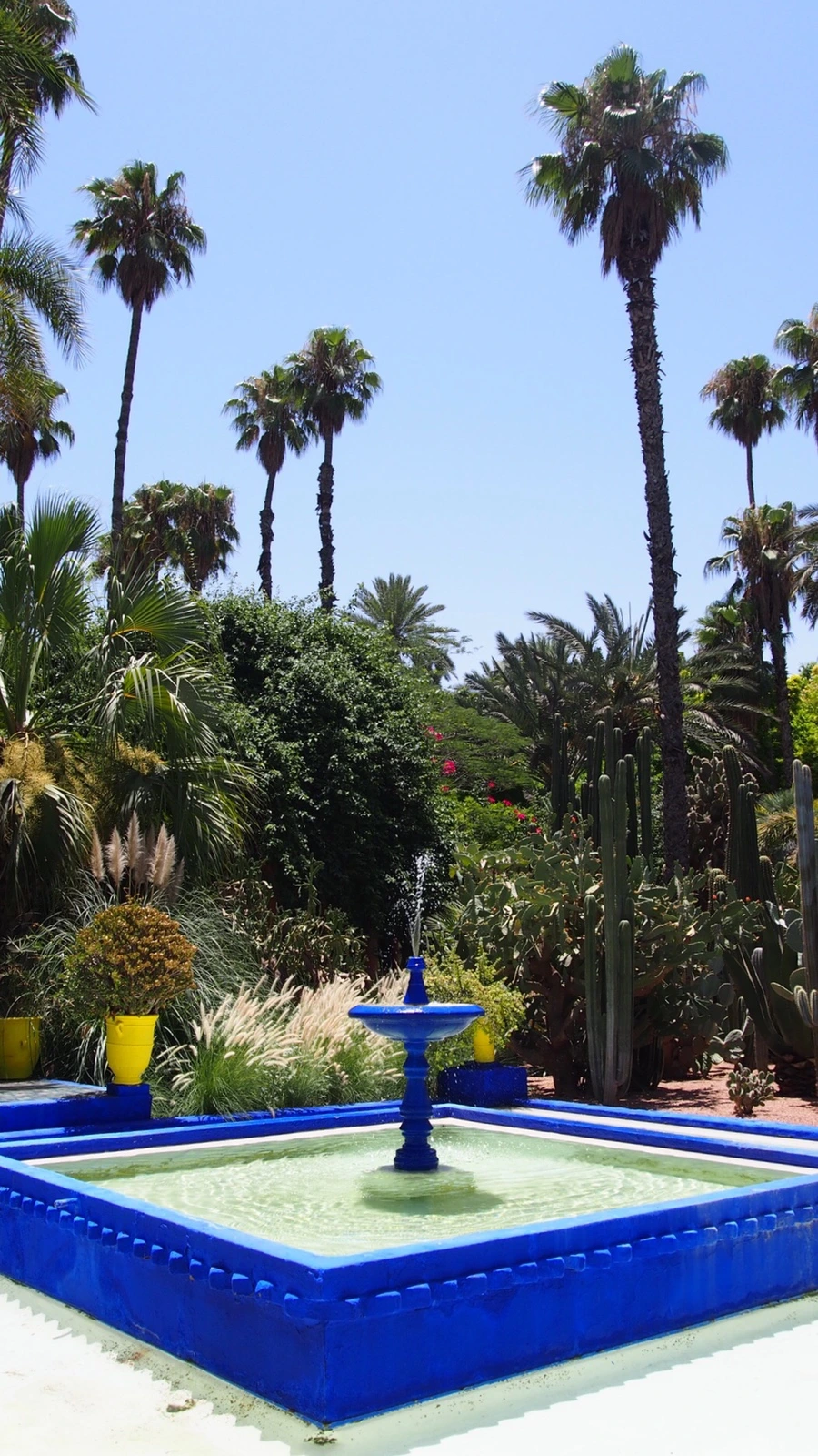 output_3866298863.jpeg?type=w1