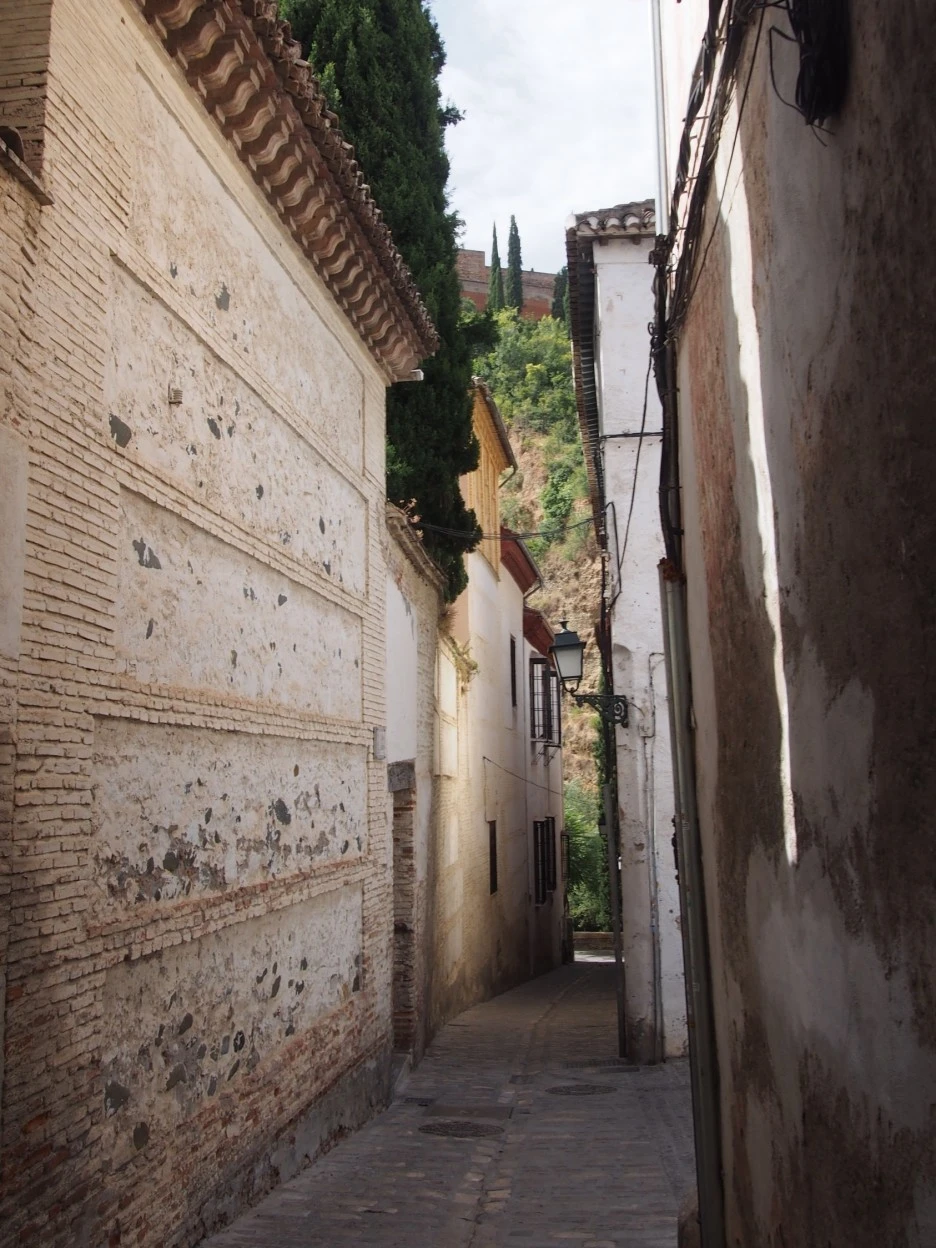 SE-d41d0c71-7c41-443c-a640-8355d4085de9.jpg?type=w1