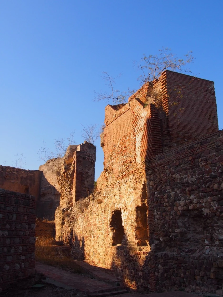 SE-9aee0a40-d145-4dd6-aa36-2ab821f1b7cb.jpg?type=w1