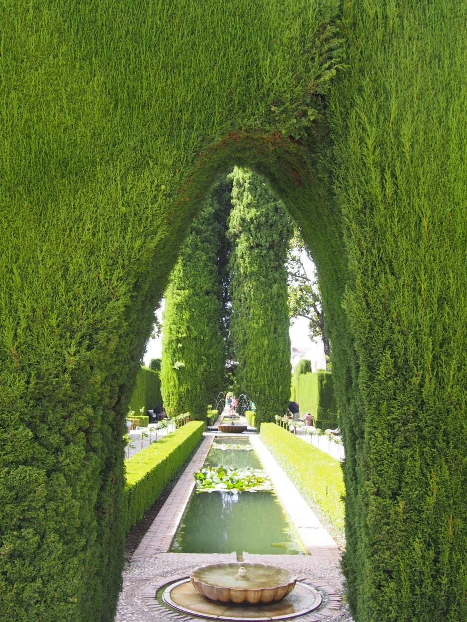 SE-7cf99e0f-4d9d-4407-86f7-efda70a4383d.jpg?type=w1