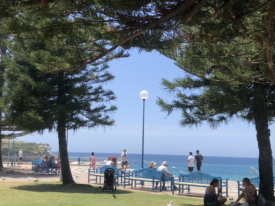 IMG_5251.jpg?type=w1