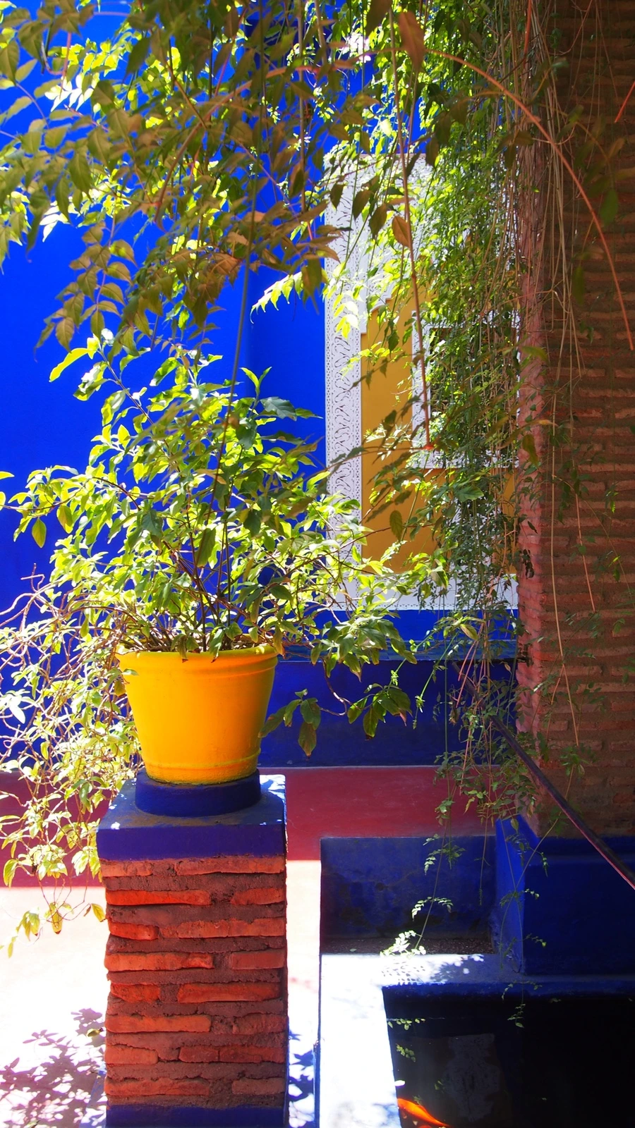 P7222519.jpeg?type=w1