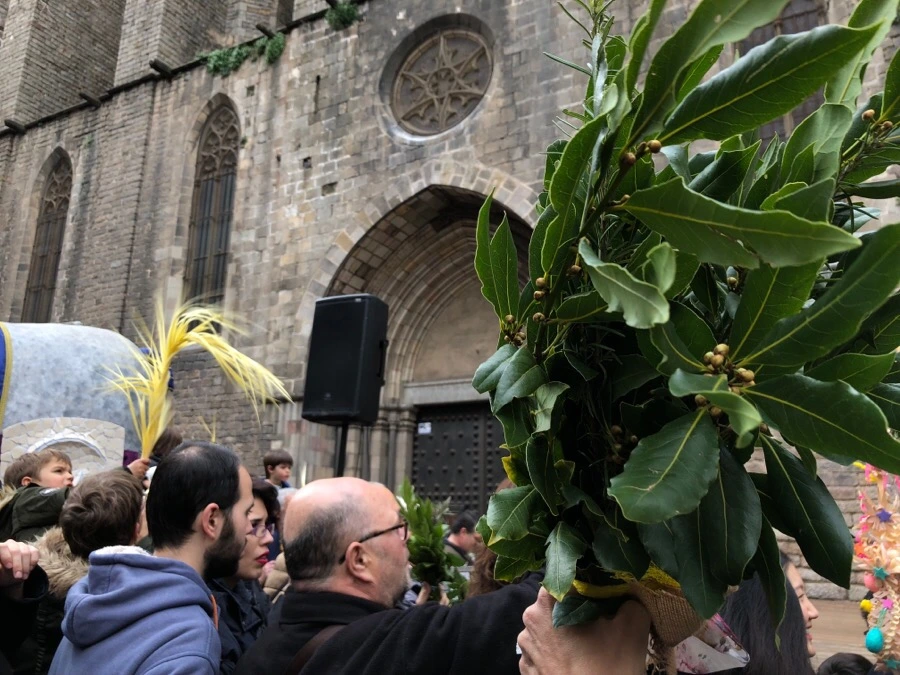 IMG_3650.jpeg?type=w1