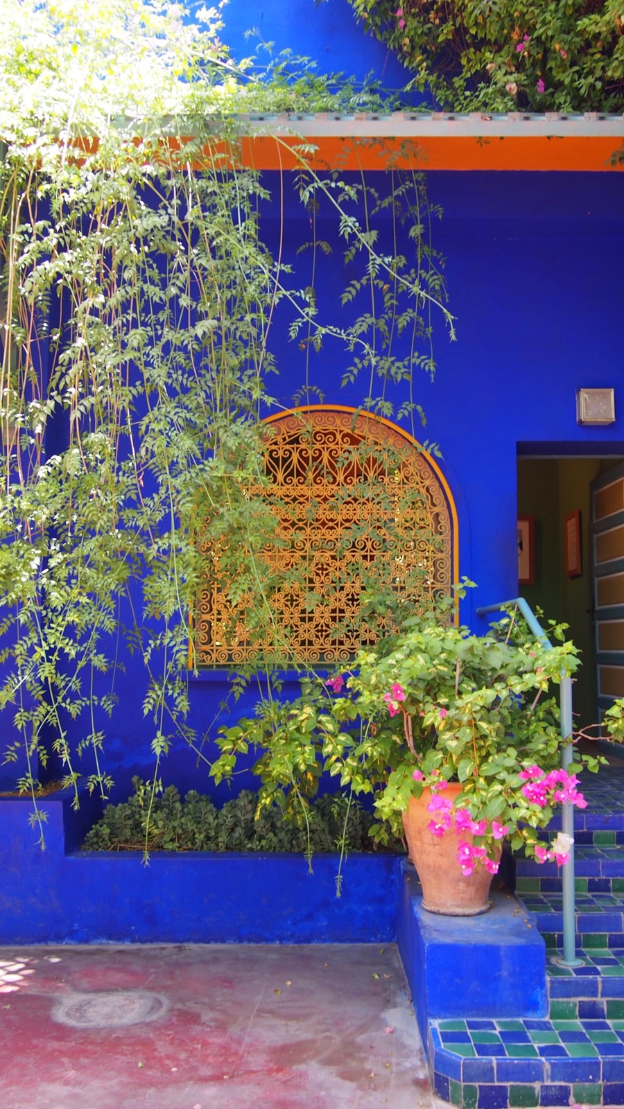 P7222516.jpeg?type=w1