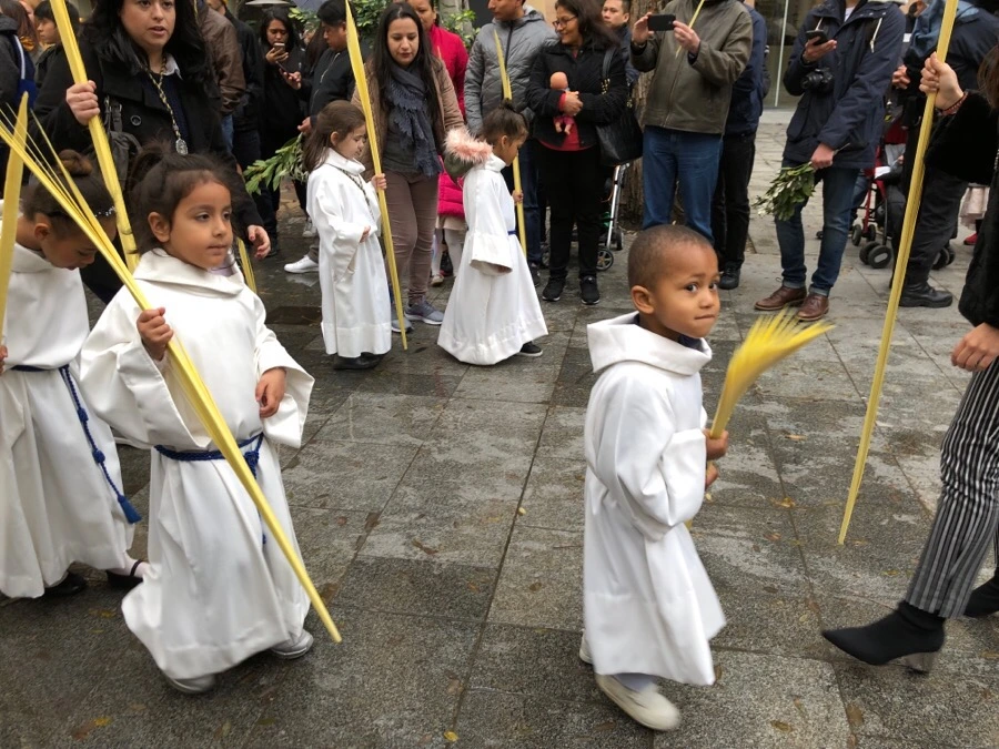 IMG_3480.jpeg?type=w1