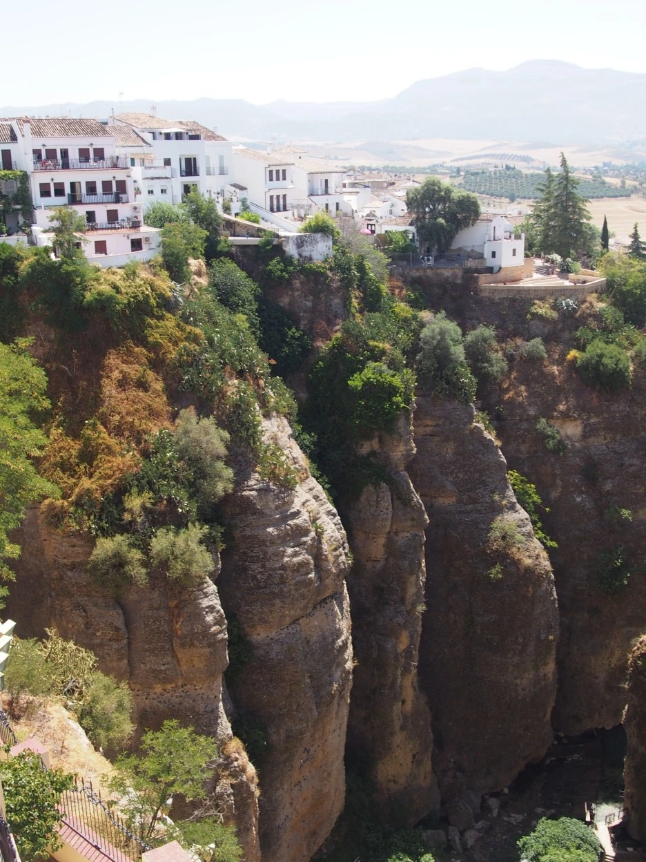 SE-56691c75-5971-4d70-8185-89aede77507b.jpg?type=w1