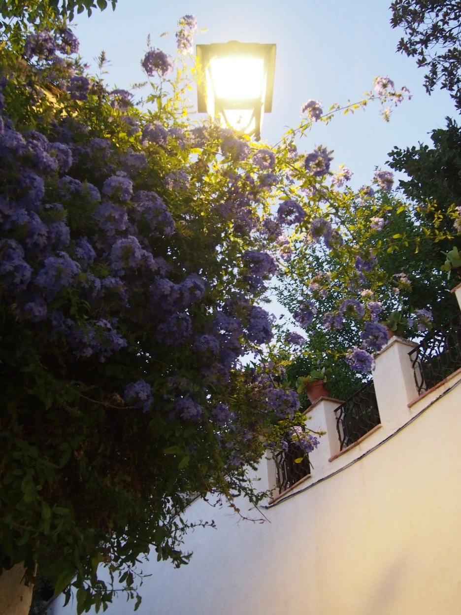 SE-e732ffe8-1200-495a-9b5e-d2323d861ddc.jpg?type=w1