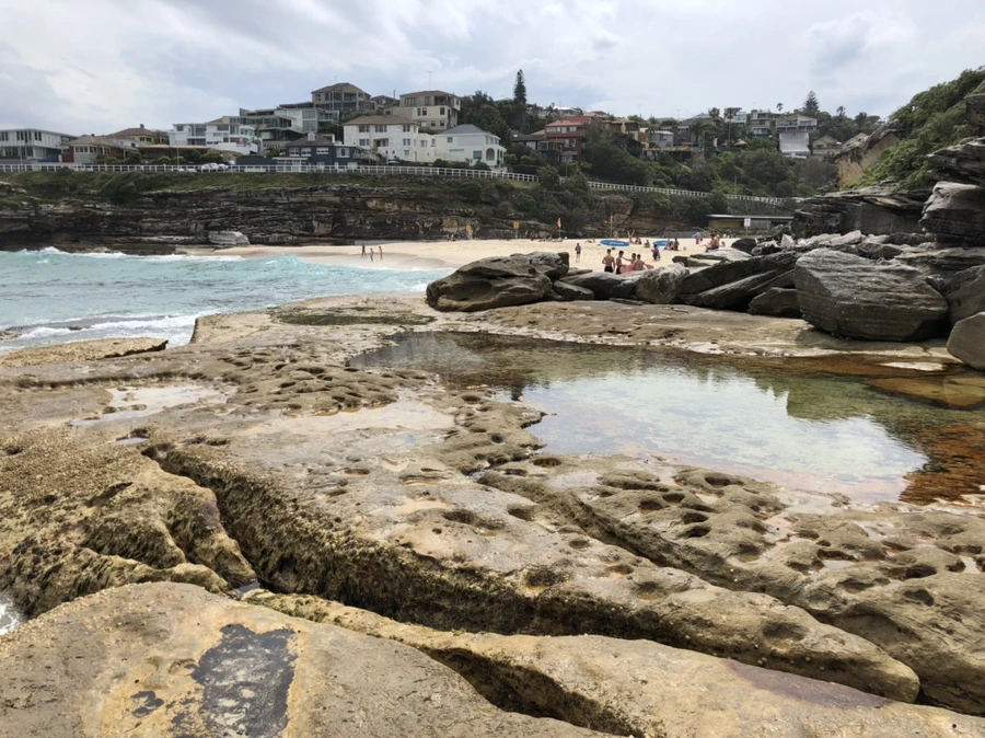 IMG_2198.jpg?type=w1