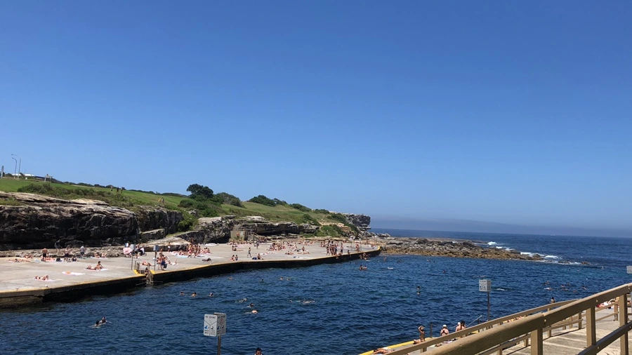 IMG_2549.jpeg?type=w1