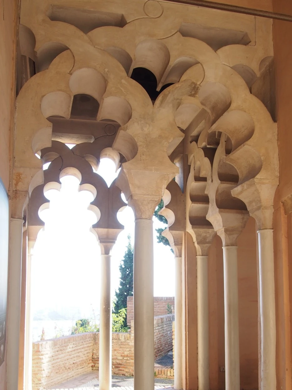 SE-89b1434f-7076-4134-a7ed-f30775e34a55.jpg?type=w1