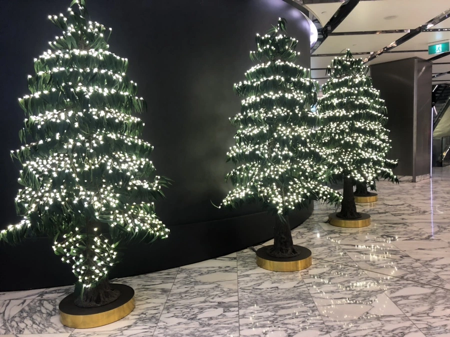 IMG_2881.jpeg?type=w1