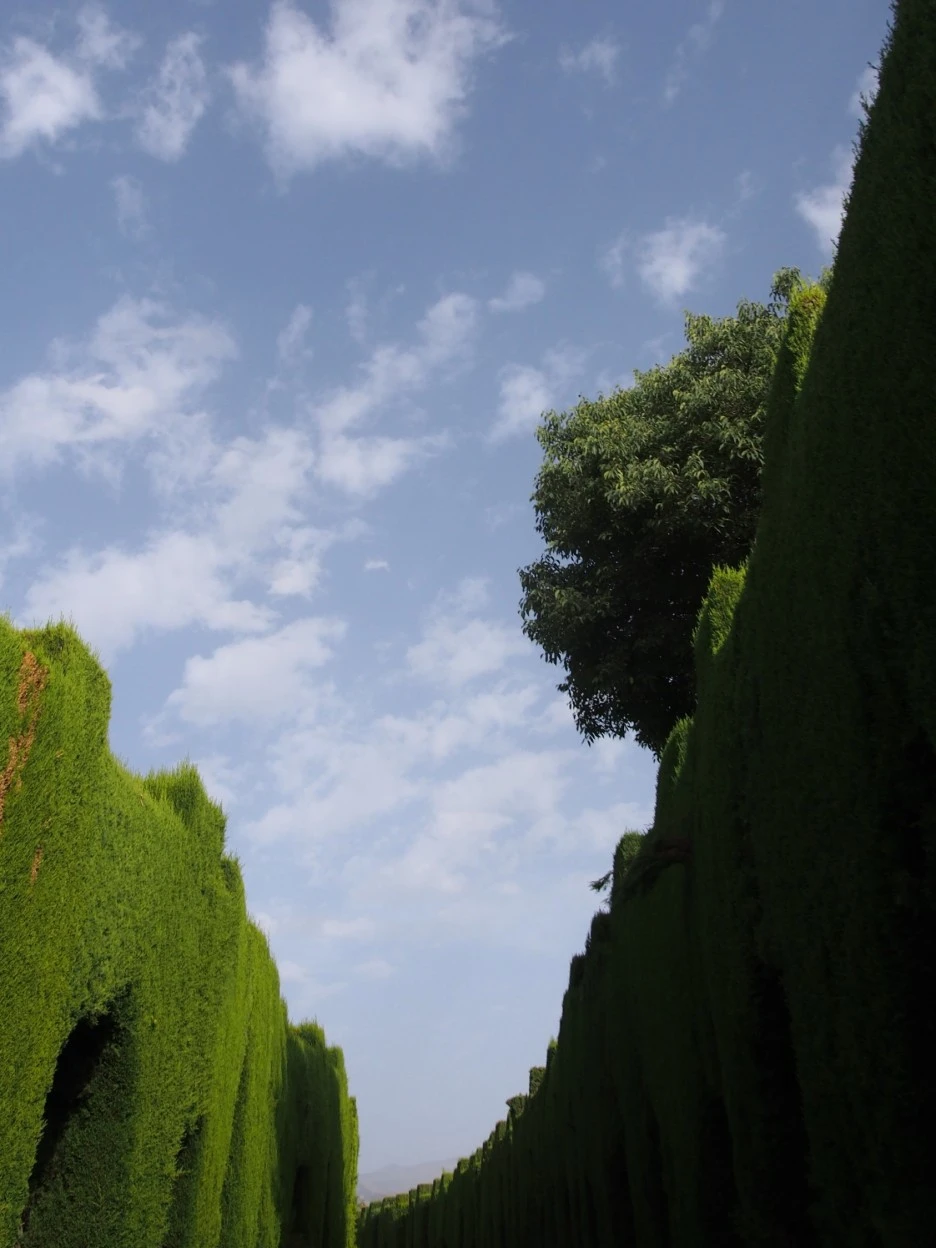 SE-7f8ac1d7-7f95-425a-a14c-a1c94f3c5040.jpg?type=w1