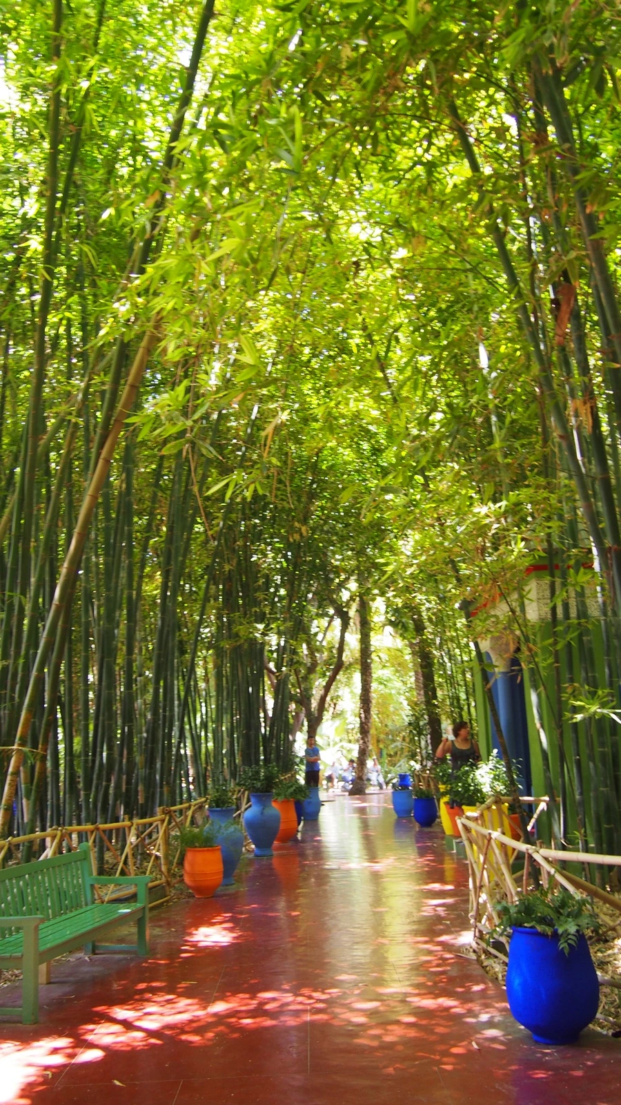 P7222500.jpeg?type=w1