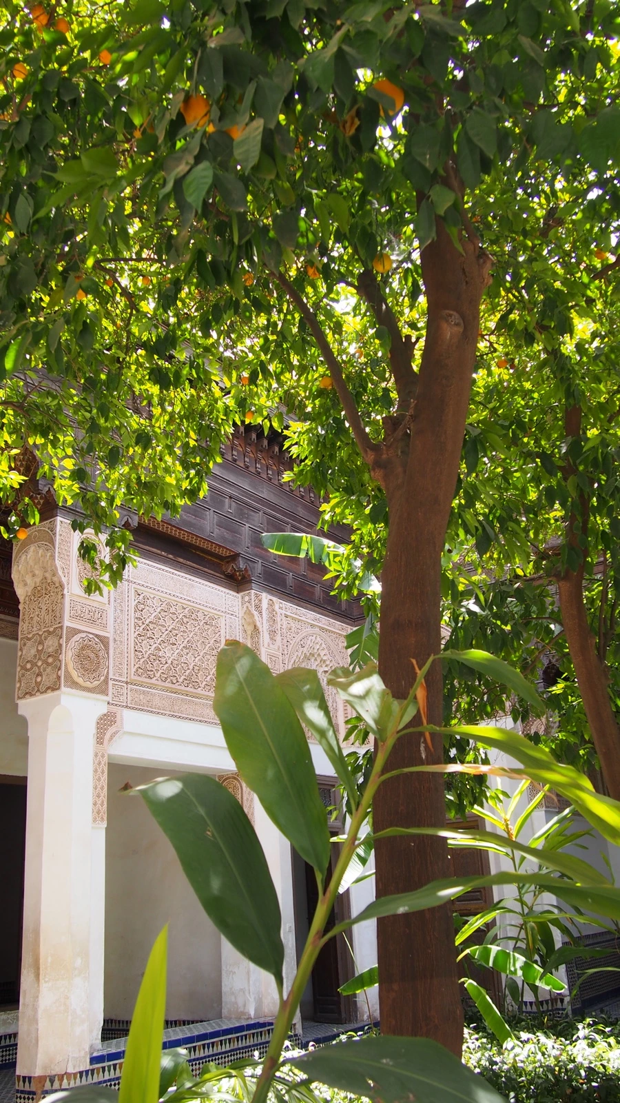 P7222578.jpeg?type=w1