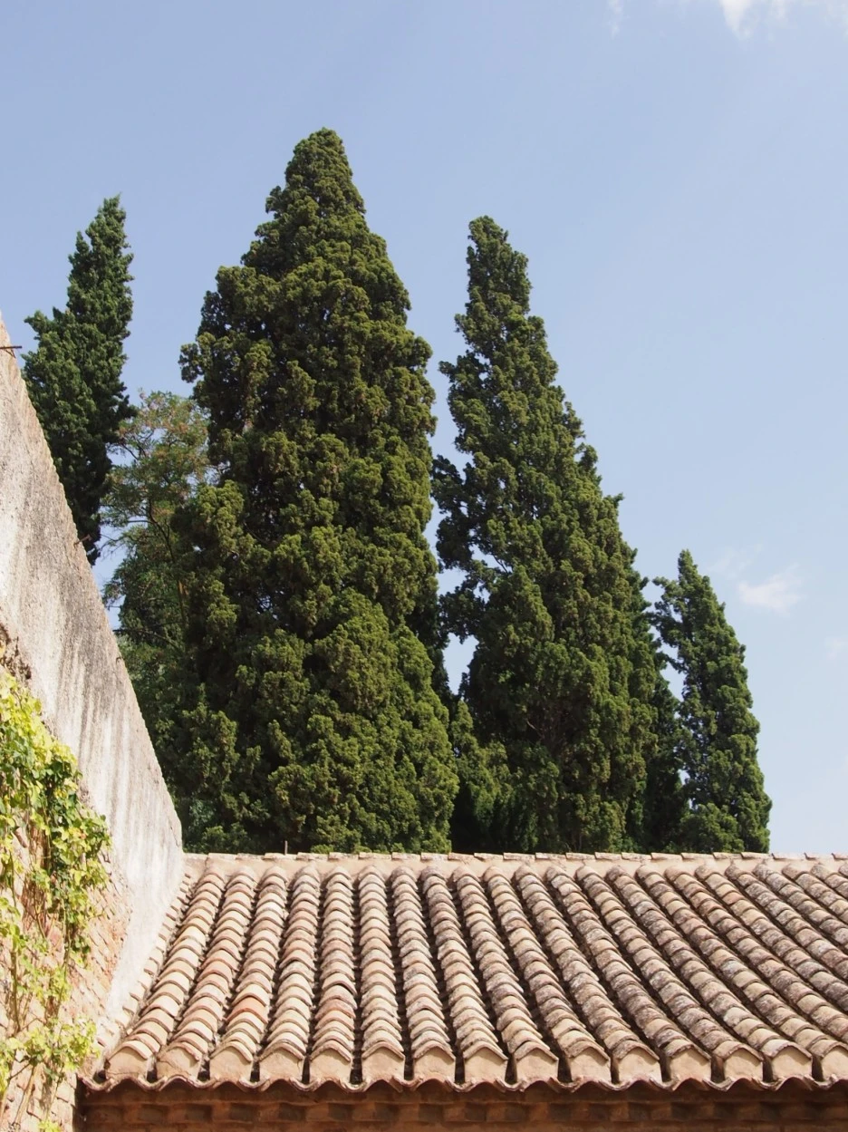 SE-a3908191-13d8-4a47-8b75-99f8617041be.jpg?type=w1