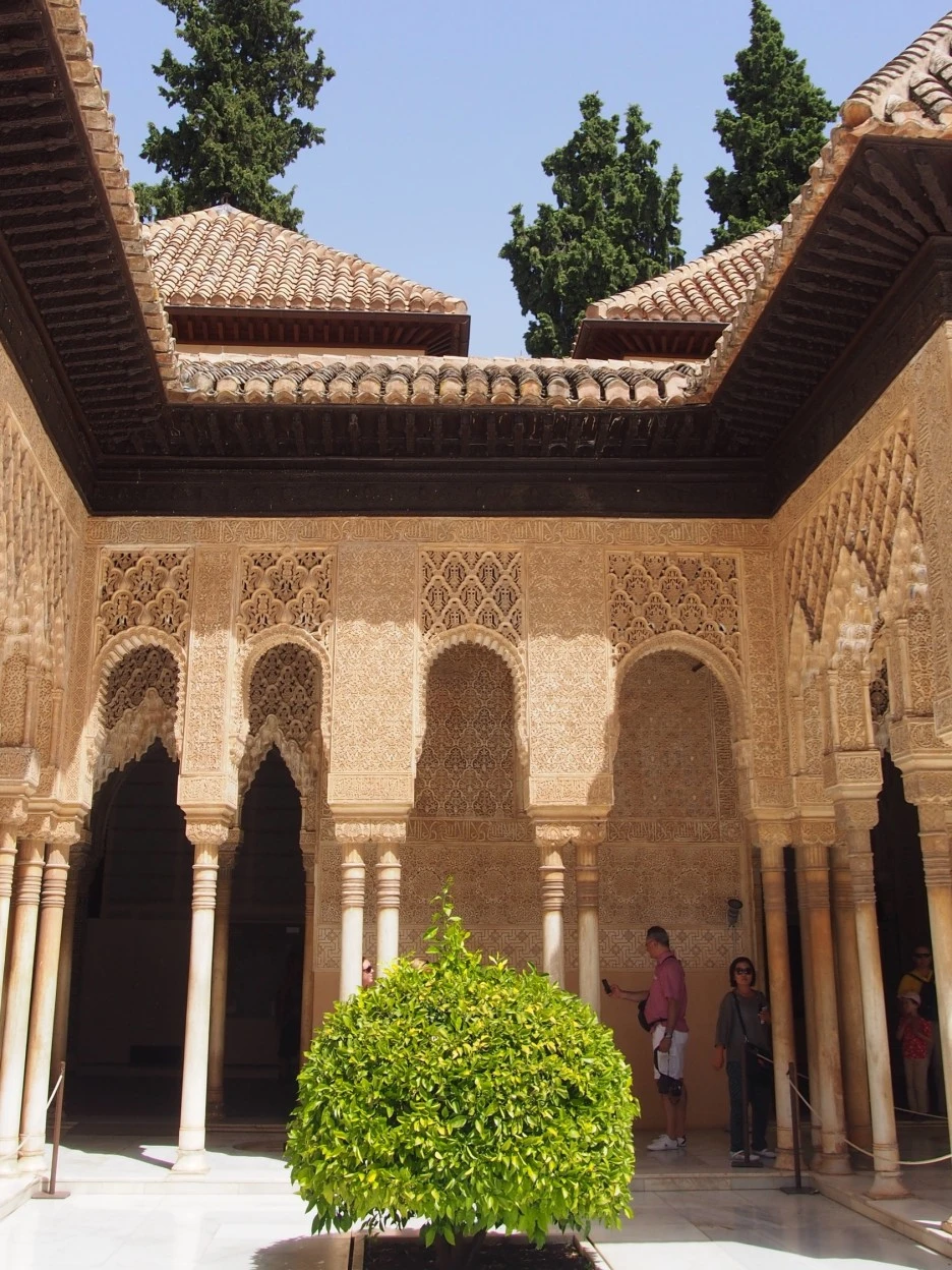 SE-0ac0a834-9187-49fd-95f4-7f56e488eb95.jpg?type=w1