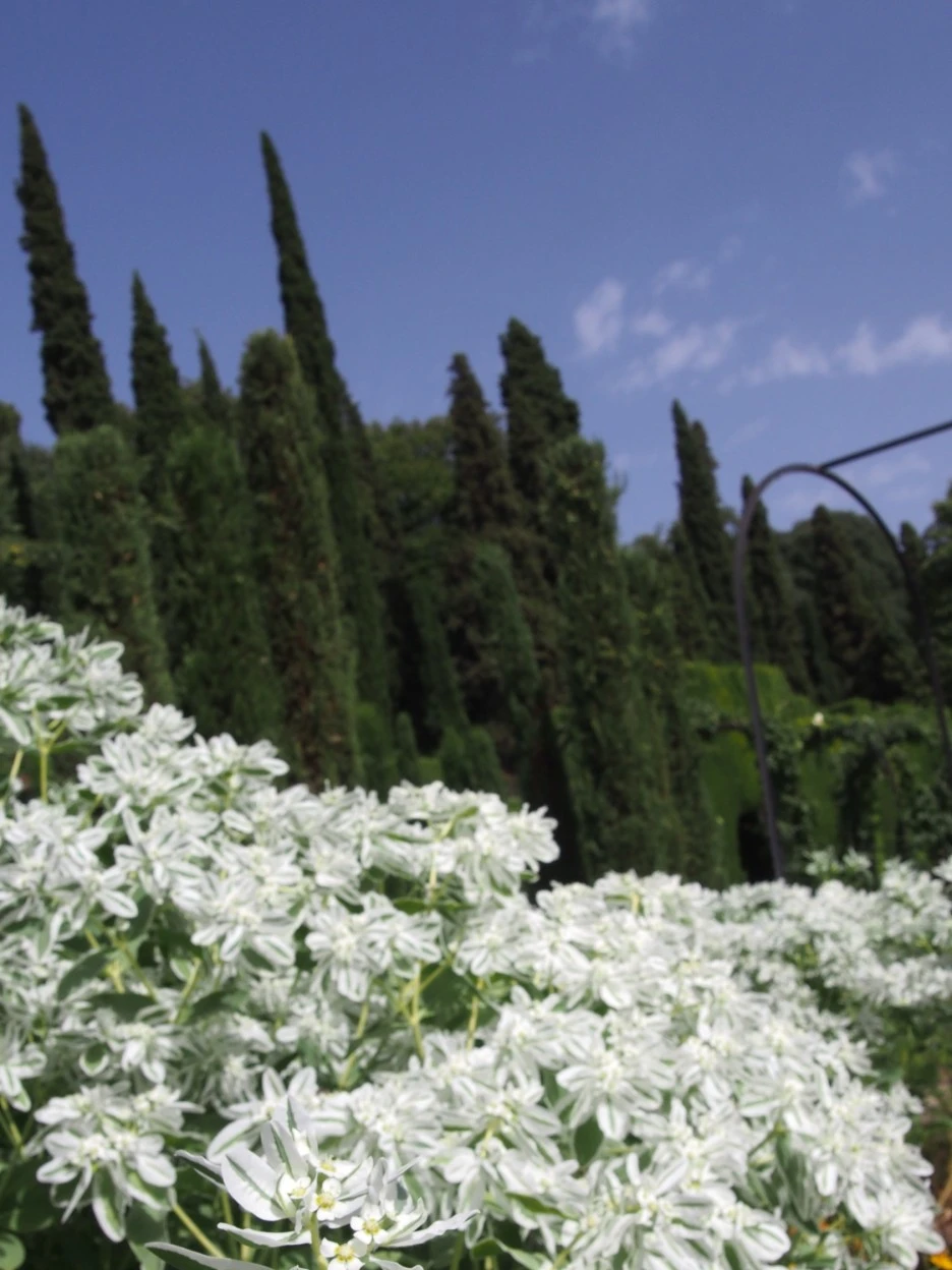 SE-ae876312-0a6d-4b10-9772-b136e712670a.jpg?type=w1