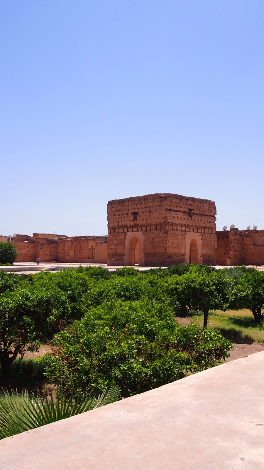 P7222541.jpeg?type=w1