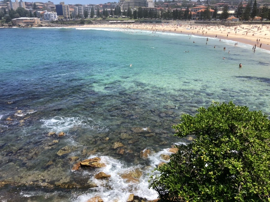 IMG_2393.jpg?type=w1