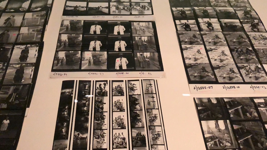 IMG_1788.jpeg?type=w1