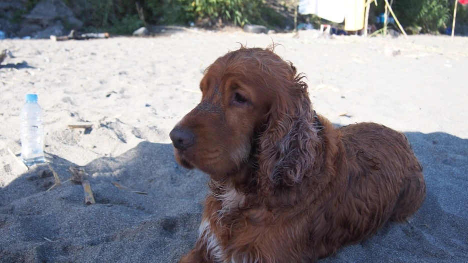 P1010534.JPG?type=w1