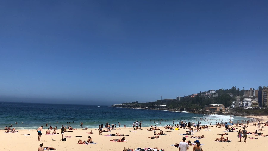 IMG_2375.jpeg?type=w1