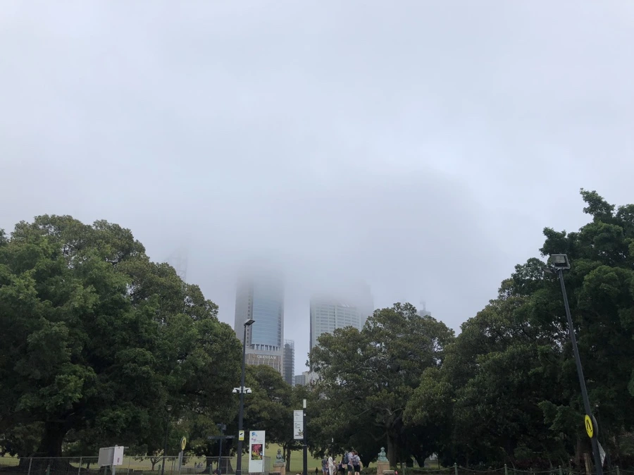 IMG_4387.jpg?type=w1