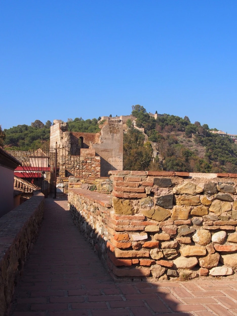 SE-0b8798d7-a542-4957-9e21-bb6101716ab0.jpg?type=w1