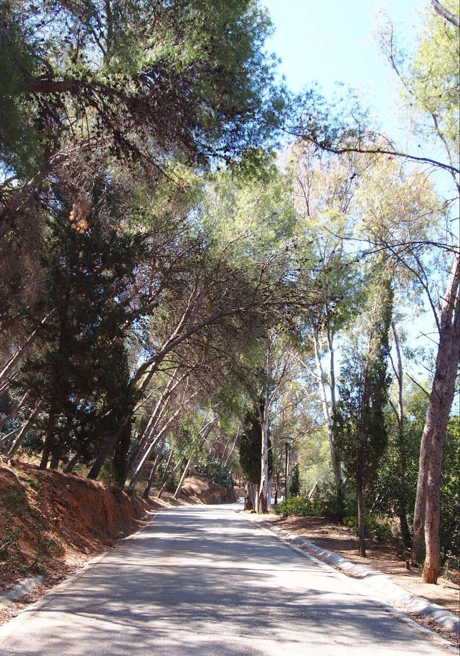 SE-e03f881c-d449-46c5-8785-ae1cf2a3e88a.jpg?type=w1