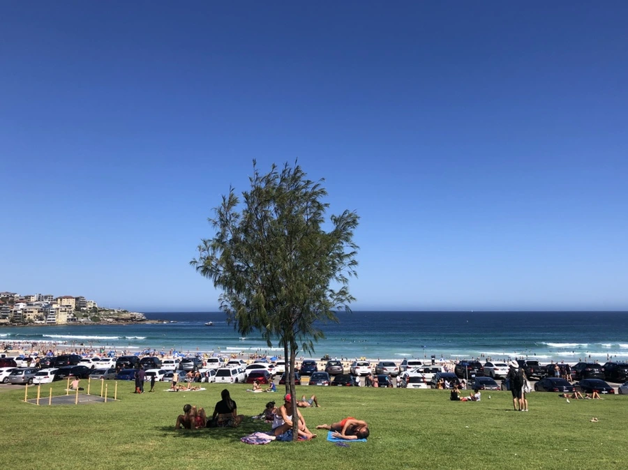 IMG_3417.jpg?type=w1