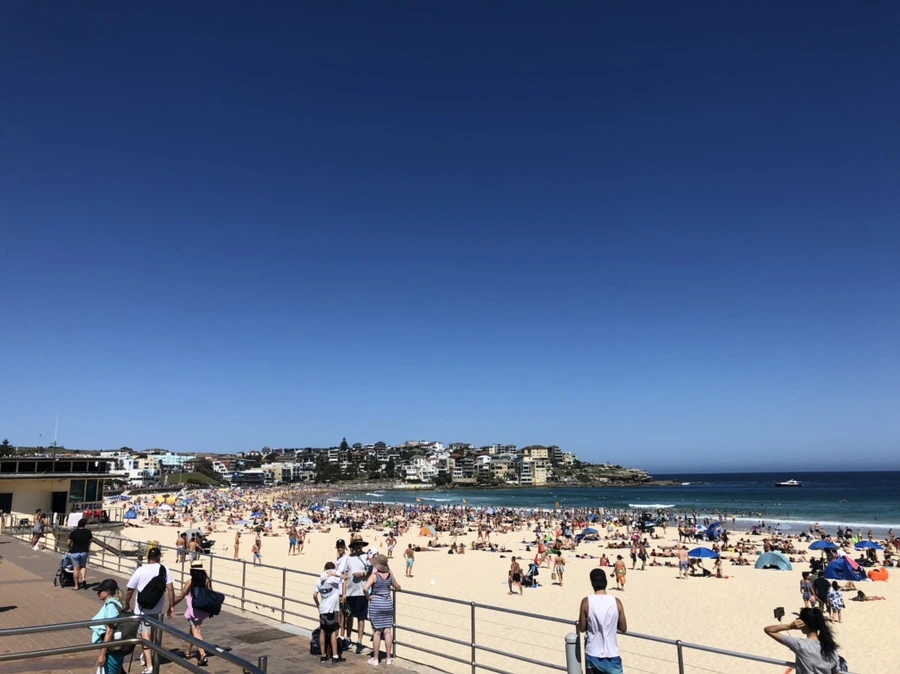 IMG_3419.jpg?type=w1