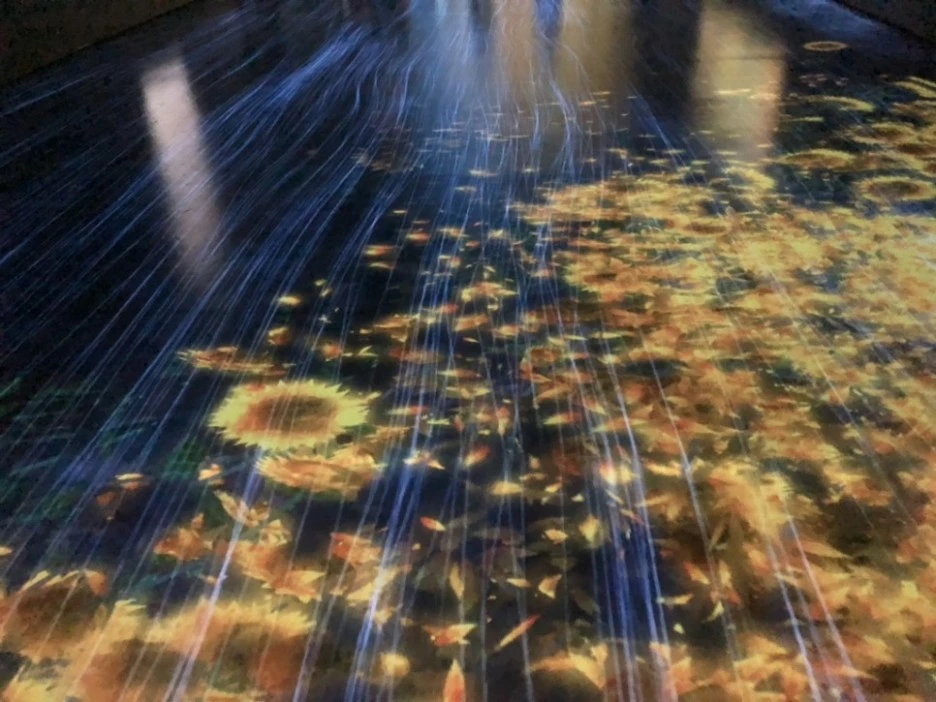 IMG_0550.jpg?type=w1