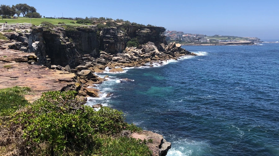 IMG_2432.jpeg?type=w1