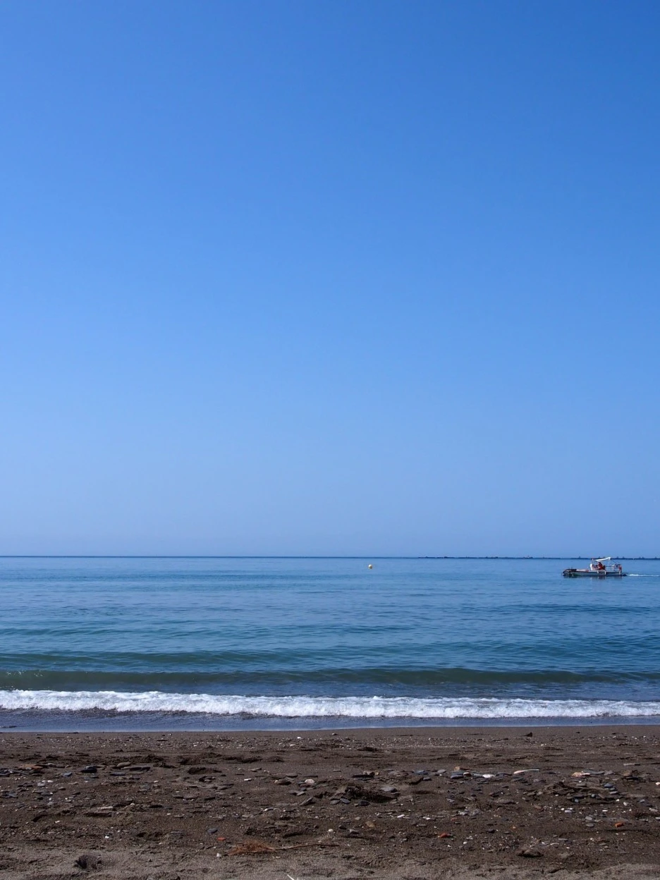 SE-16f114c2-87ca-4a96-aaa8-562fe102e513.jpg?type=w1