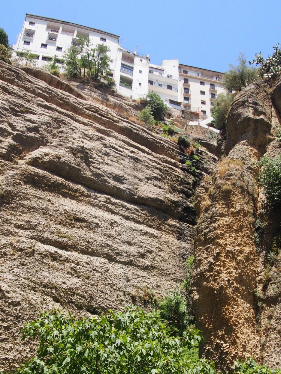 SE-87d8e557-e35f-454d-adfd-29520733bb9f.jpg?type=w1