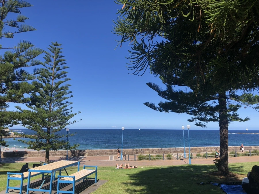 IMG_3288.jpg?type=w1